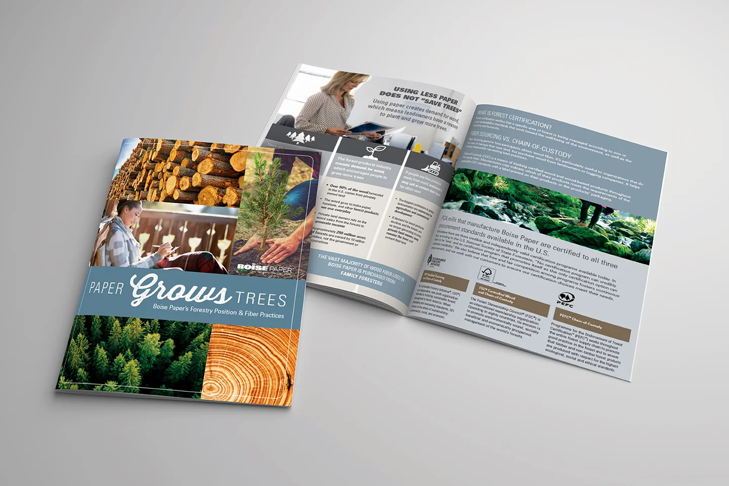 Paper Grows Trees Brochure